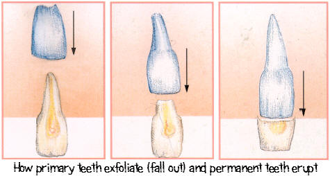 Process of Exfoliation